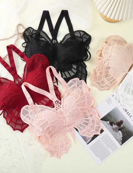 Butterfly Embroidered Lace Bralette – Elegant Hollow Out Backless Crop Top-556